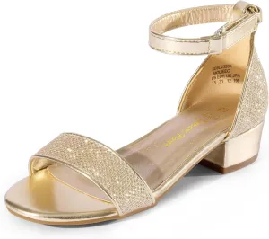 DREAM PAIRS Girls Sandals Low Heel Dress Pump Ankle Strap Interchangeable Bow Flower Wedding Party Shoes for Little Kid/Big Kid